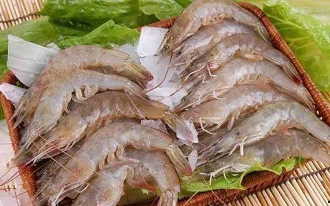鲜虾养殖爆料怎么做视频,从爆料到视频制作全攻略 第3张 鲜虾养殖爆料怎么做视频,从爆料到视频制作全攻略 第3张