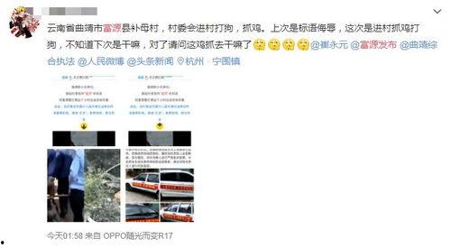 曲靖爆料视频曝光,揭秘背后惊人真相