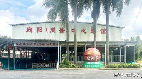 四会大沙镇爆料新闻,事故现场紧急救援,详情揭晓 第3张 四会大沙镇爆料新闻,事故现场紧急救援,详情揭晓 第3张
