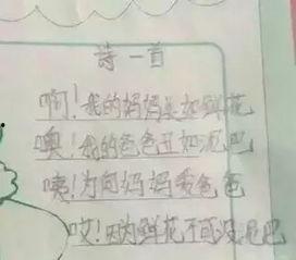 小学生写诗爆料视频大全,小学生写诗爆料视频集锦