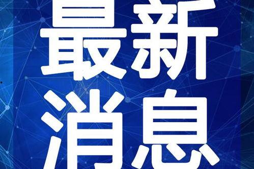 菏泽饭店爆料视频大全最新,揭秘餐饮行业幕后真相