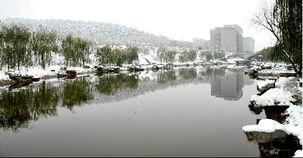 甲子湖最新爆料,揭秘湖中惊现神秘生物之谜  第2张