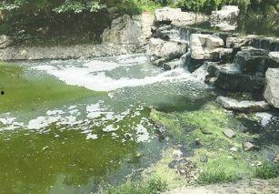 甲子湖最新爆料,揭秘湖中惊现神秘生物之谜  第3张
