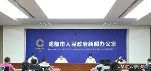 四川发布爆料最新消息今天 第3张 四川发布爆料最新消息今天 第3张