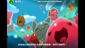 史莱姆爆料视频,幕后真相大曝光！
