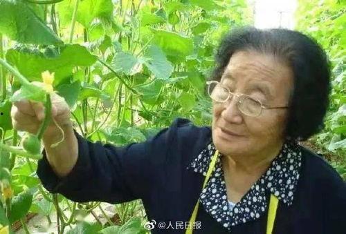 吃瓜网红王大炮是谁,从网络红人到话题制造者的蜕变之路 第3张 吃瓜网红王大炮是谁,从网络红人到话题制造者的蜕变之路 第3张