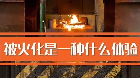 火葬场内部爆料视频,揭秘生死轮回的最后一站 第3张 火葬场内部爆料视频,揭秘生死轮回的最后一站 第3张