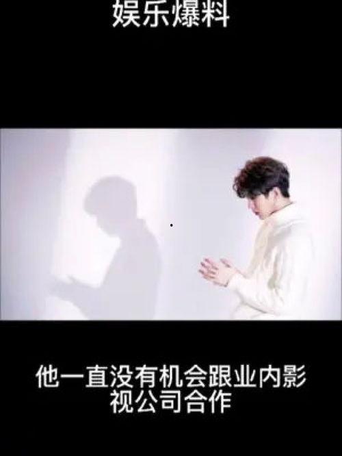 今日份娱乐爆料了吗,揭秘娱乐圈最新动态