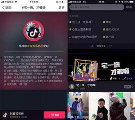 爆料音乐背景视频,独家爆料带你领略幕后制作  第2张
