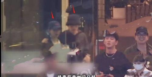 狗仔爆料塌房明星视频播放,塌房明星视频播放引发热议，真相究竟如何？