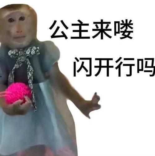 赵梓婷最新爆料,揭秘娱乐圈不为人知的幕后真相  第3张