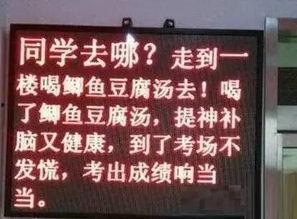校园视频爆料文案大全,揭秘校园生活那些事儿  第3张