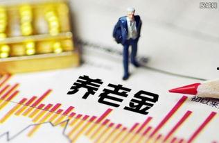 养老金最新爆料信息,揭秘最新爆料背后的政策调整与影响