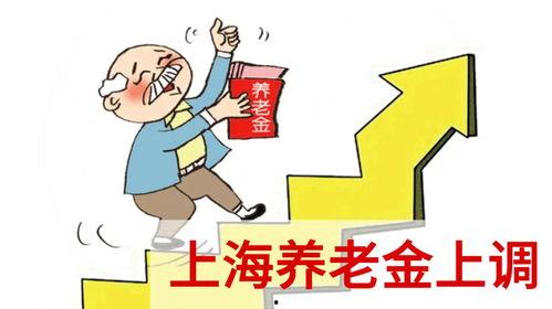 养老金最新爆料信息,揭秘最新爆料背后的政策调整与影响  第2张
