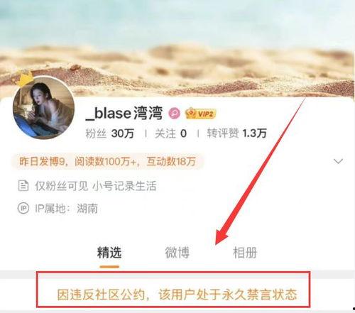 网红湾最新爆料事件,揭秘娱乐圈惊人内幕 第2张 网红湾最新爆料事件,揭秘娱乐圈惊人内幕 第2张
