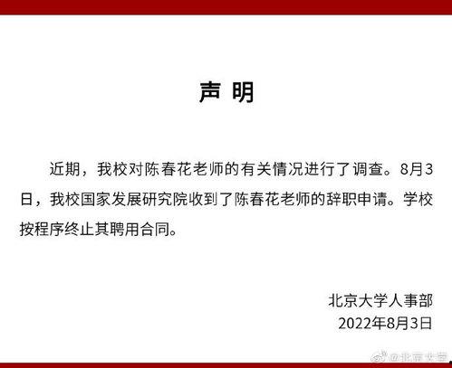 陈春花最新爆料信息图片,揭秘企业成功之道与行业变革趋势  第3张
