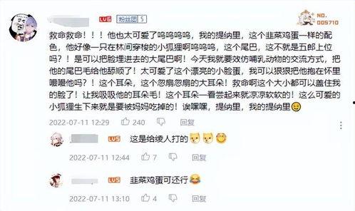 草神外网爆料视频大全集,揭秘剧情与幕后真相