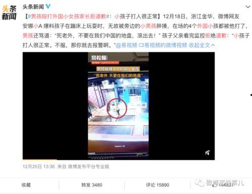 龙湾一号爆料事件视频,揭秘背后惊人真相 第2张 龙湾一号爆料事件视频,揭秘背后惊人真相 第2张