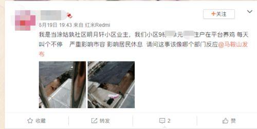 爆料养鸡套路视频大全集,养鸡套路视频大全集深度解析 第1张 爆料养鸡套路视频大全集,养鸡套路视频大全集深度解析 第1张