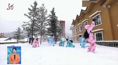 雪乡视频爆料,揭秘冬日童话背后的真实面貌  第3张
