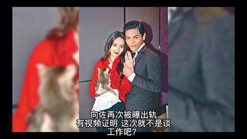 向佐出轨爆料者视频播放,真相与争议  第3张