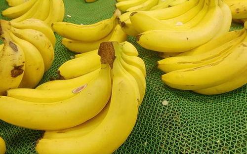 大香蕉真人在线观看,揭秘网络直播的诱惑与风险  第3张