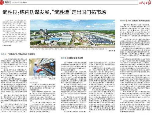 武胜最新爆料新闻报道,揭秘事件背后惊人真相  第2张