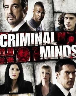 犯罪心理在线观看,揭秘罪案背后的心理轨迹 第2张 犯罪心理在线观看,揭秘罪案背后的心理轨迹 第2张