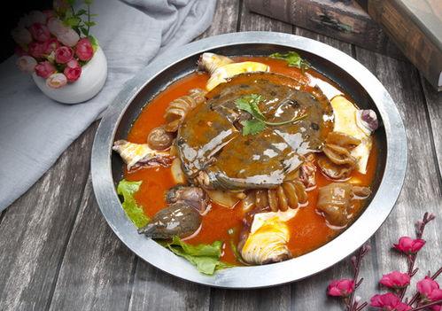 麻辣甲鱼爆料怎么做视频,揭秘视频制作全攻略  第2张