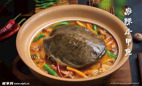 麻辣甲鱼爆料怎么做视频,揭秘视频制作全攻略  第3张