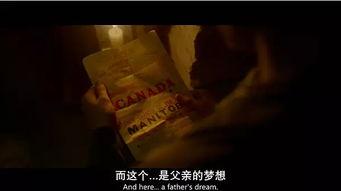 苦难的收获在线观看,逆境中的成长与蜕变  第3张