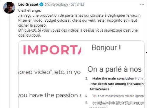 网红爆料模板怎么拍视频,如何轻松拍出热门视频