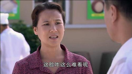 乡村爱情圆舞曲全集在线观看,重温经典农村爱情故事  第2张