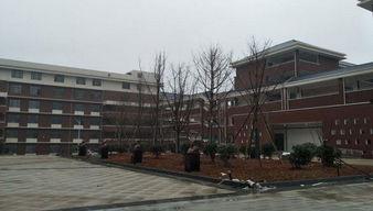 临湘一中最新爆料  第2张