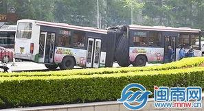 武汉公交惊天爆料视频大全,视频大全揭秘行业内幕