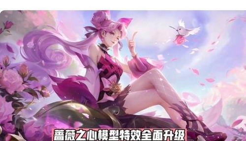 蔷薇恋人最新爆料