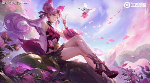 蔷薇恋人最新爆料  第3张