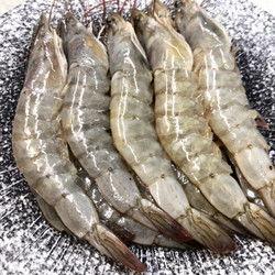 臭鱼烂虾爆料视频大全图片  第2张