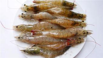 臭鱼烂虾爆料视频大全图片  第3张