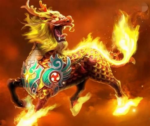 野生麒麟爆料图大全视频,揭秘野生麒麟神秘面纱