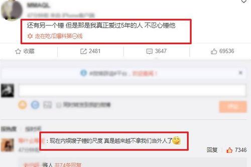 爱豆女友爆料视频大全集,揭秘明星私生活幕后真相  第2张