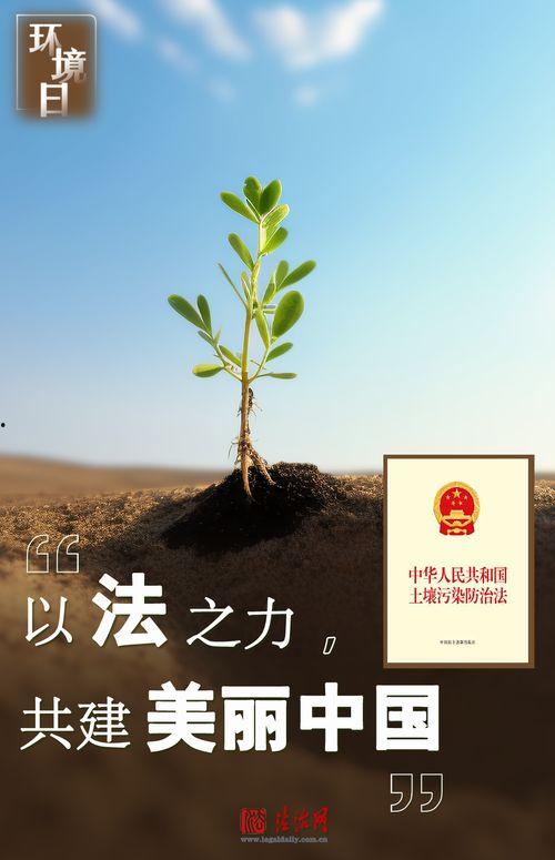 美丽中国在线观看,在线观看之旅  第3张