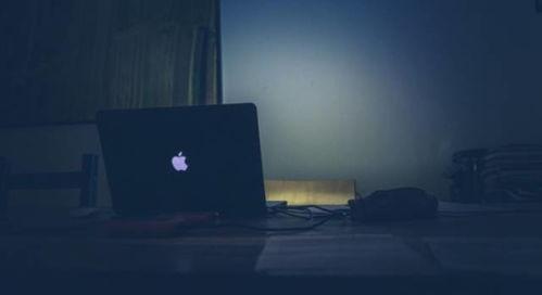 新西兰华人爆料视频播放,揭秘当地生活真相