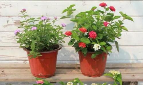 海哥最新爆料新闻视频大全,最新爆料新闻视频大全汇总  第3张