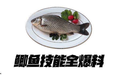 小鲫鱼爆料直播视频大全,揭秘幕后故事与精彩瞬间