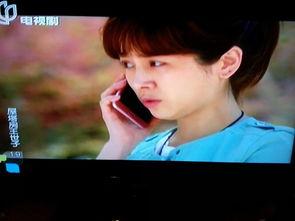 房塔屋世子在线观看  第2张