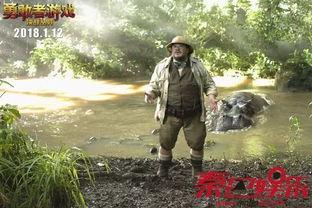 丛林在线完整观看,揭秘神秘丛林探险之旅 第2张 丛林在线完整观看,揭秘神秘丛林探险之旅 第2张