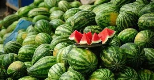 网红富贵闲人吃瓜是真的吗,真相揭秘 第2张 网红富贵闲人吃瓜是真的吗,真相揭秘 第2张