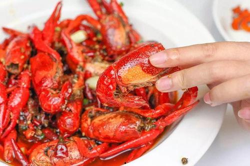 龙虾最新爆料视频播放