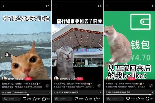 猫之城最新爆料视频下载,最新爆料视频深度解析